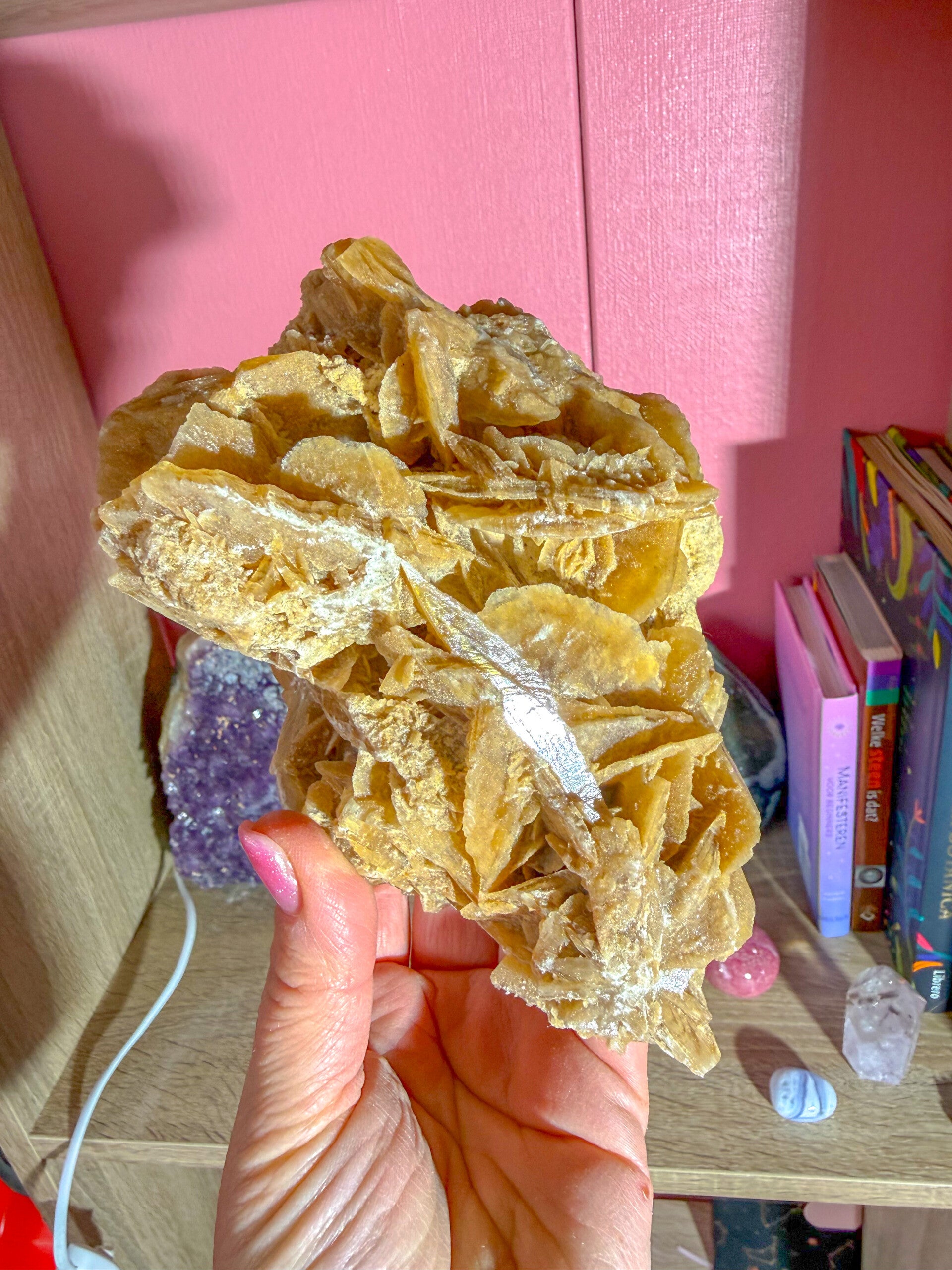 Uniek stuk! Woestijnroos op standaard