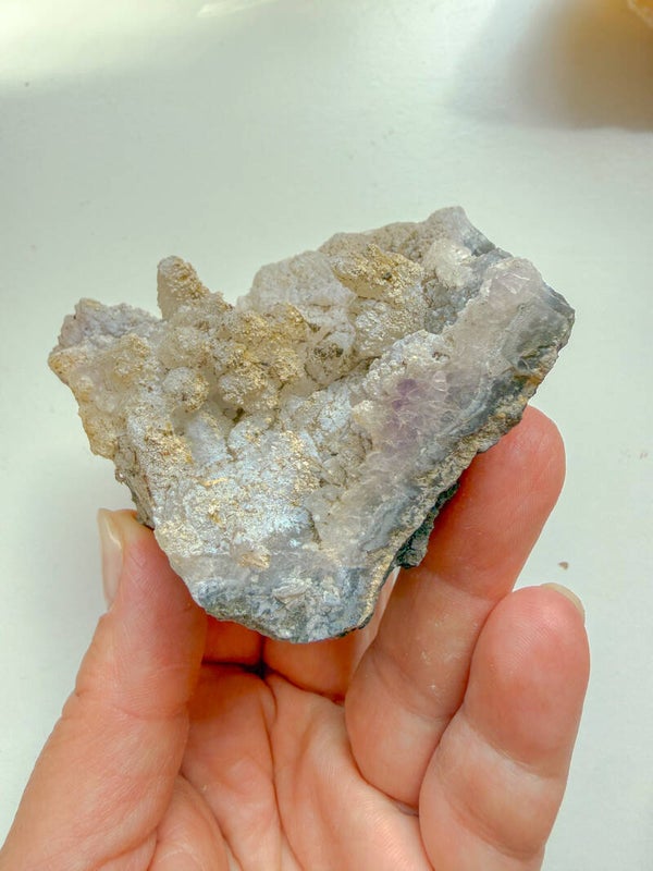 Angel wing Anhydriet
