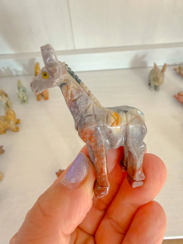 Giraffe, groot