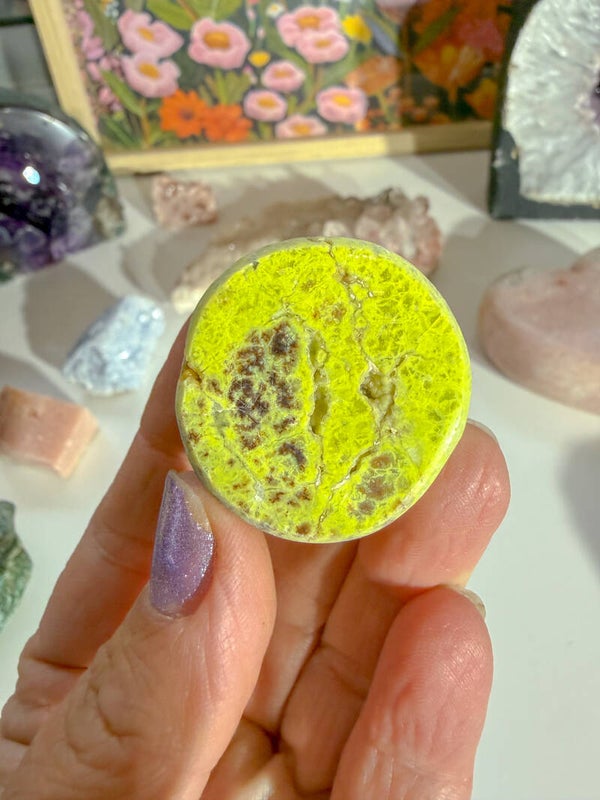 Groene Opaal ema egg
