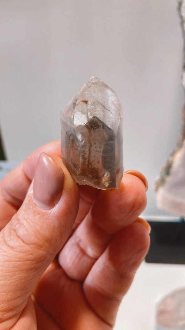 Black Phantom Lemurian 🖤✨