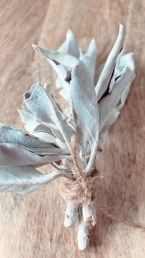 Witte Salie bundel