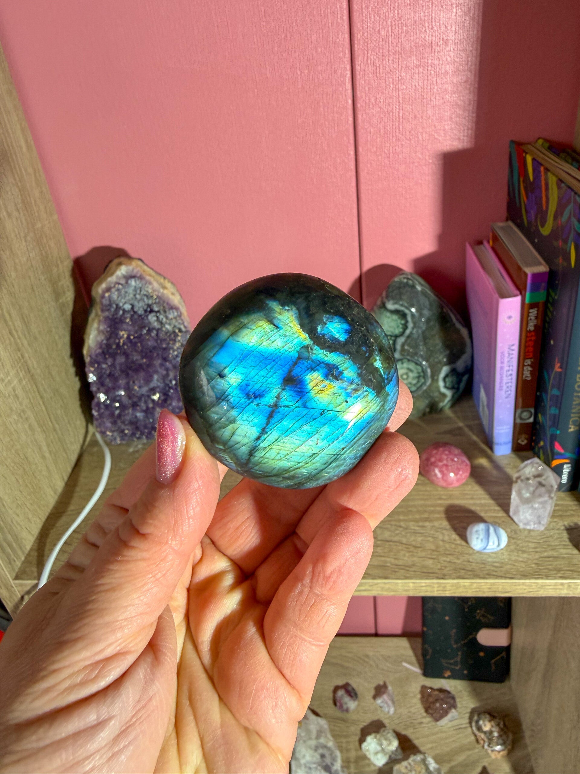 Labradoriet jumbosteen