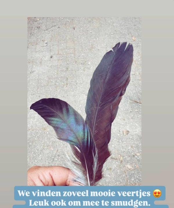 Gratis veertje ( van eigen haantjes en kippen ) bij je bestelling 🪶
