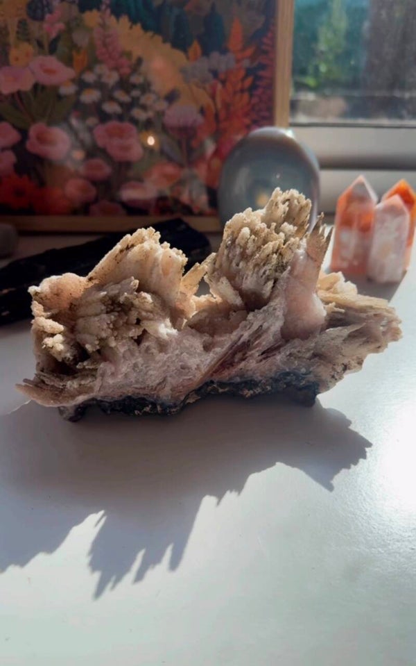 Angel wing Anhydriet