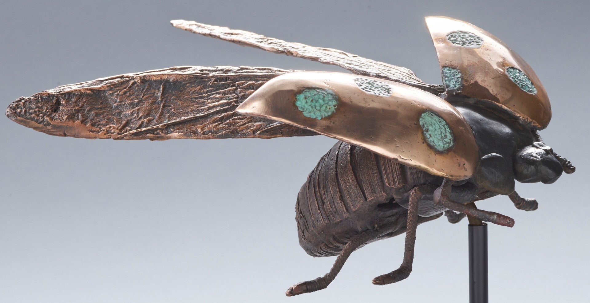 2-standard-o36h1u.jpg