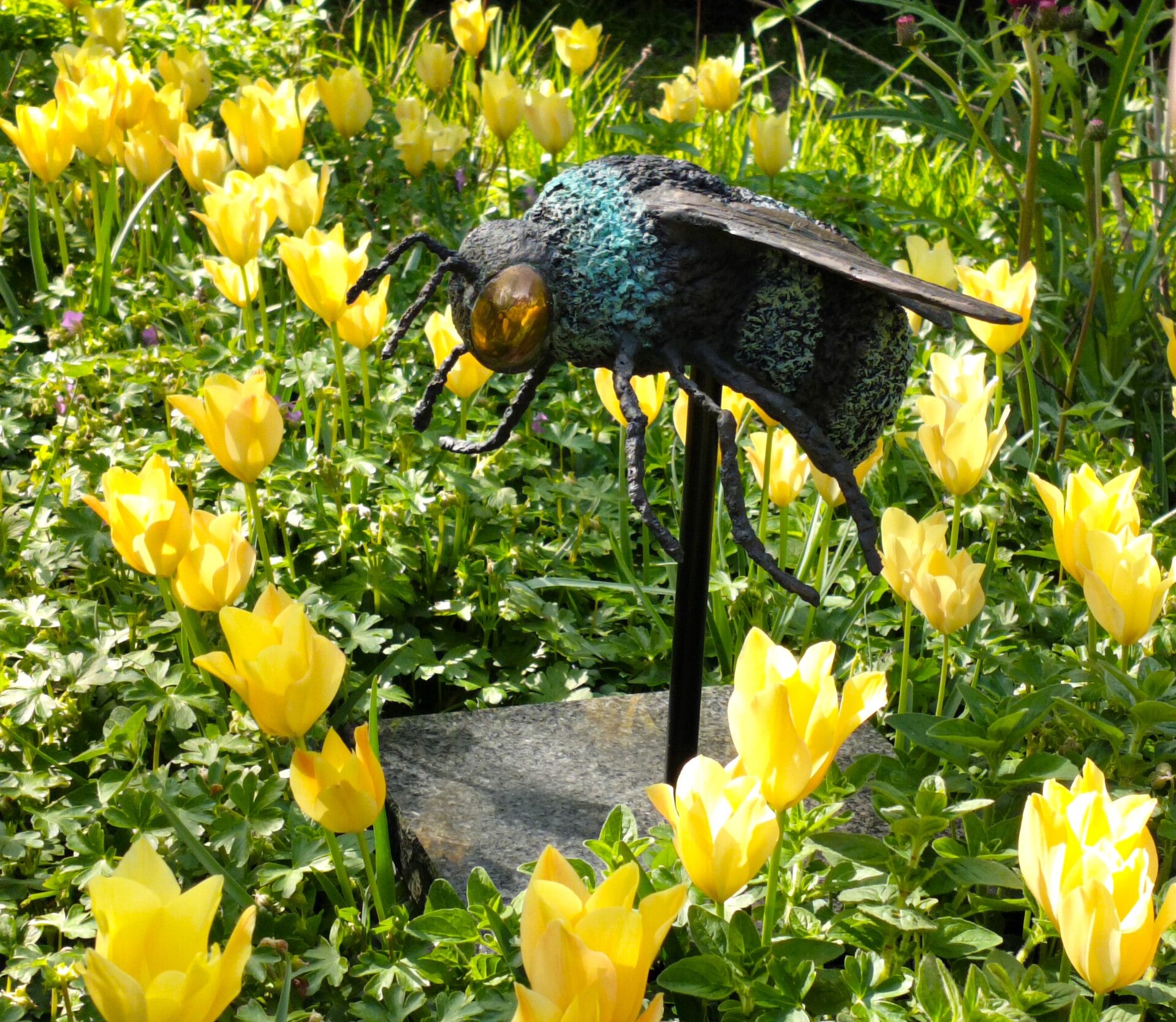 hommel-tussen-tulpen-standard-jnslhq.jpg
