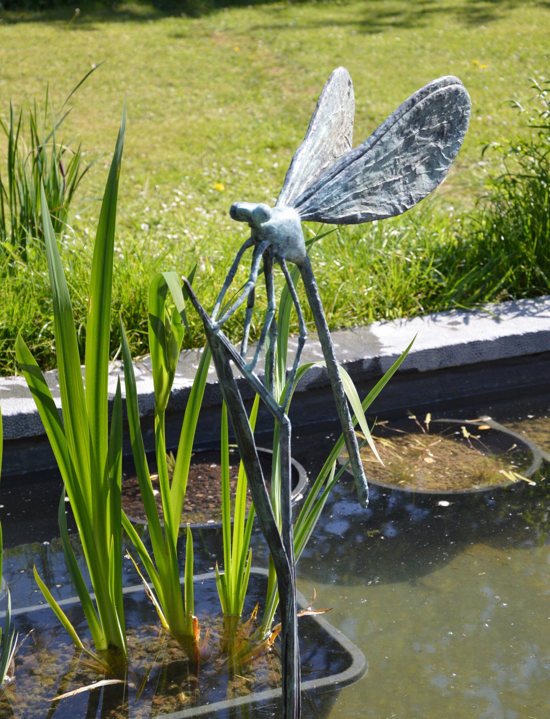 libelle-water-standard-hd4kl8.jpg