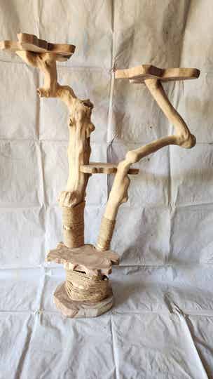 CAT TREE DOUBLE - 1