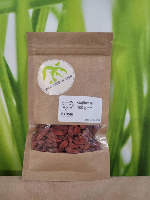 Gojibessen - Baies de Goji - Gojiberries - 1