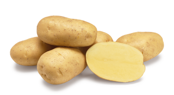 Agria aardappelen 5 KG NIEUWE OOGST