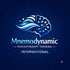 Mnemodynamic Therapy Training International