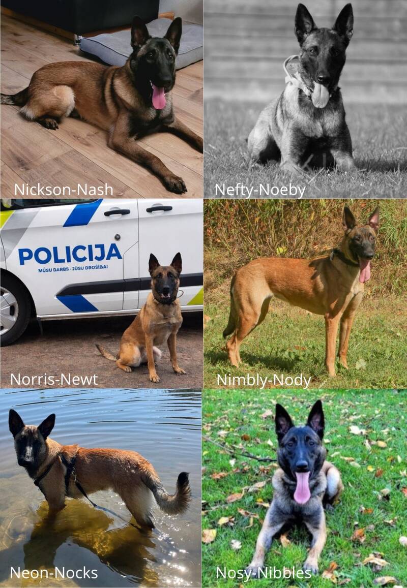 kopfoto-s-n-nieuwe-standard-8hk78c.jpg