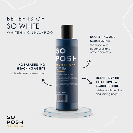 So Posh – SO WHITE Shampoo