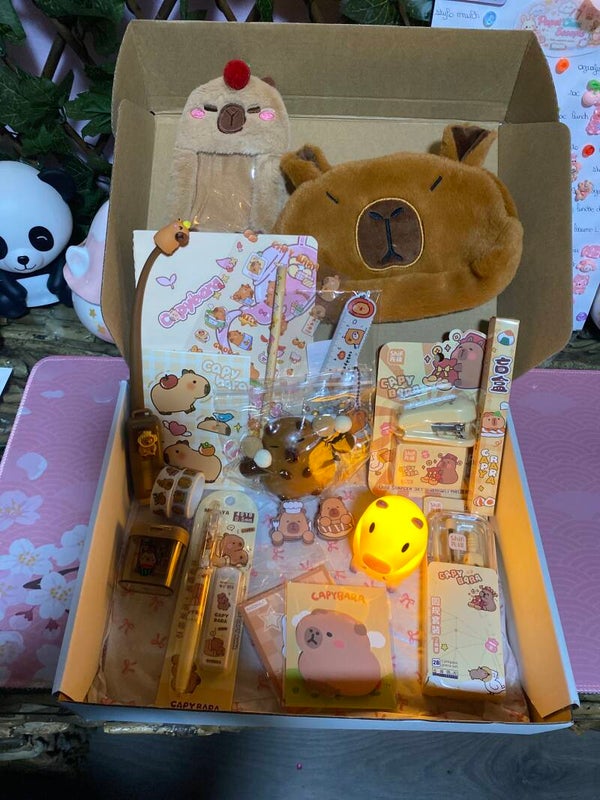 Box capybara