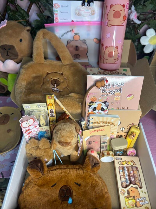 Vente flash (box capybara)