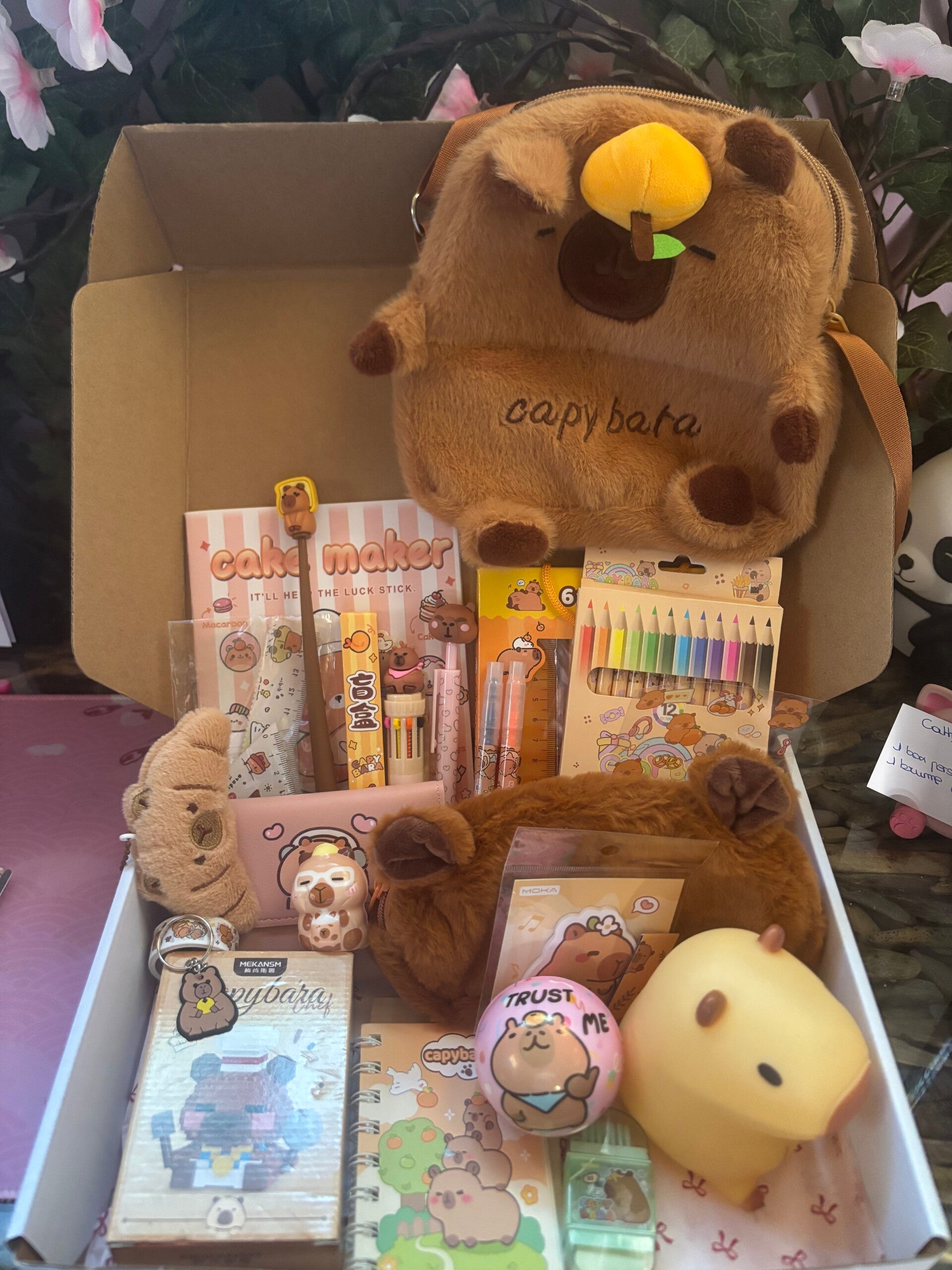 Box capybara