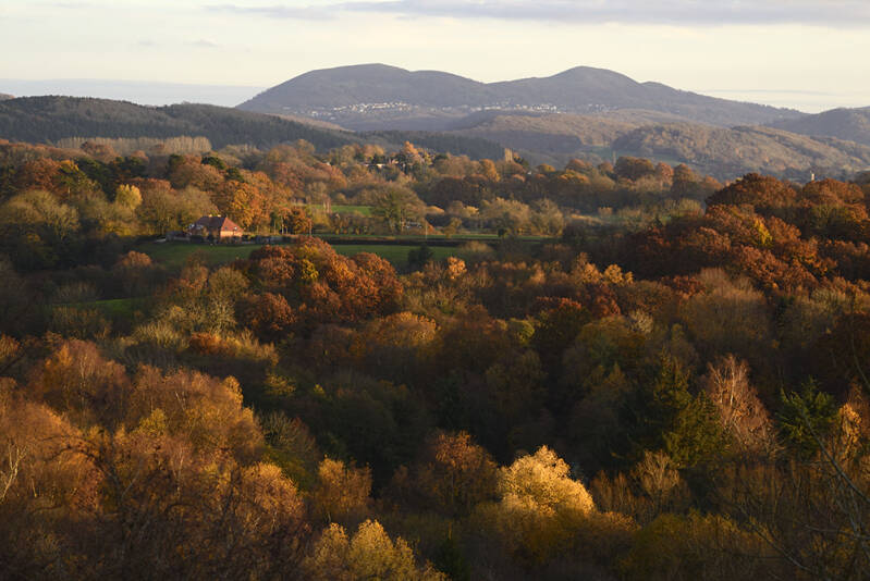 Autumnal Bringsty Common
