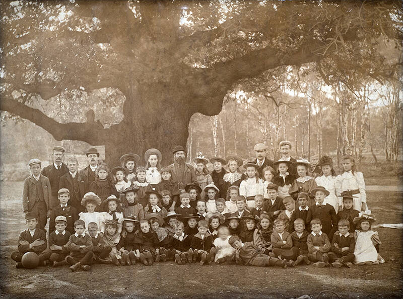 Major Oak outing 1895