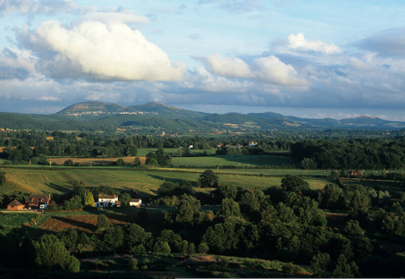 Summer, Bringsty Common