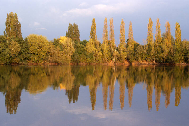 Autumnal reflections at Bodenham Lakes