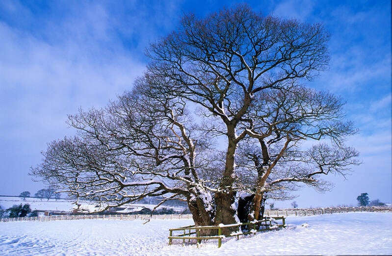 Grendon Bishop Gospel Oak