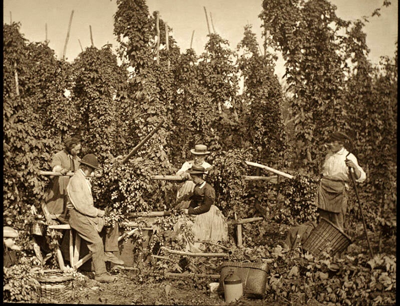 Hop picking lantern slide, c.1890