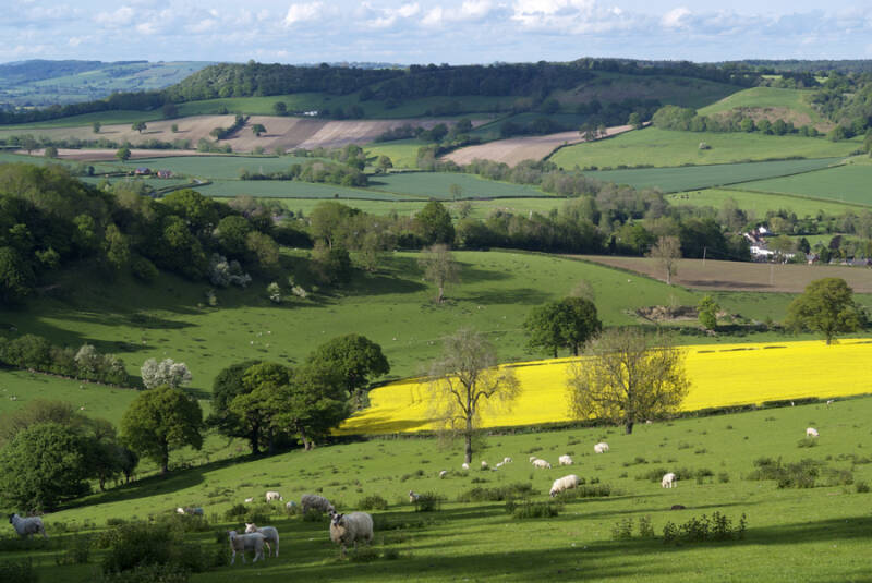 View from Coles Hill above Lingen