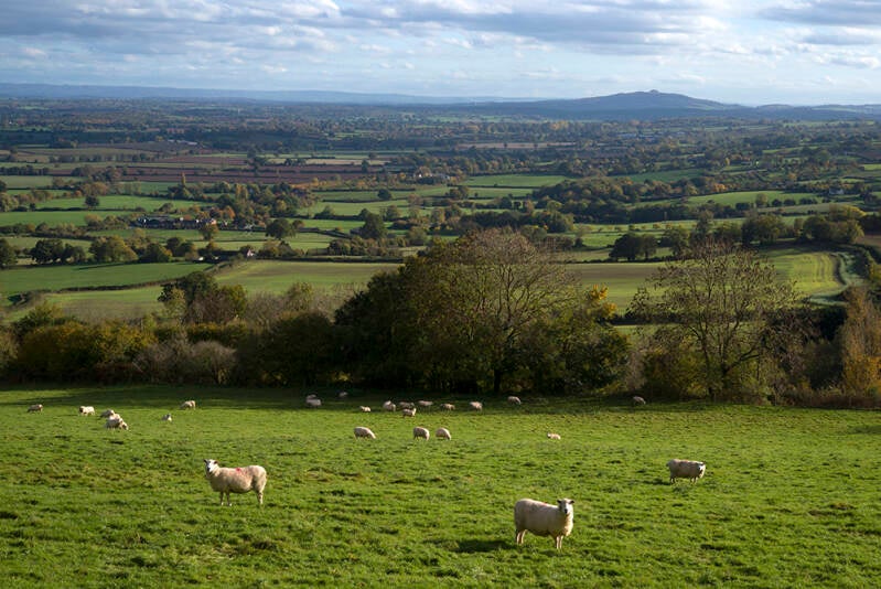 View from Marcle Ridge towards May Hill