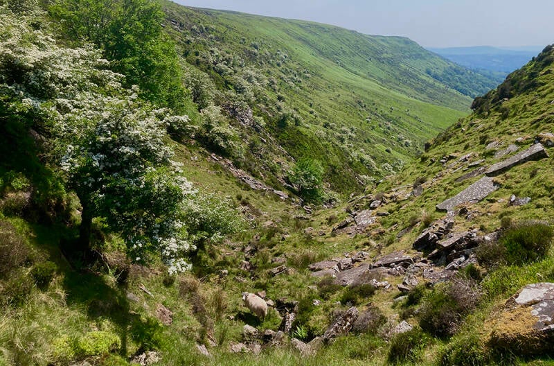 Slopes of Cat's Back Ridge, Olchon Valley