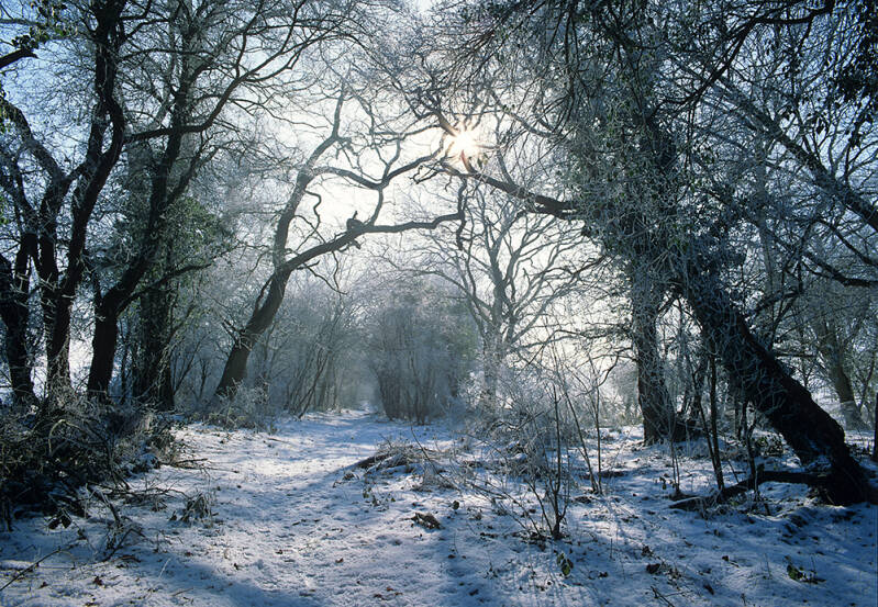 Dusting of snow on ancient green lane