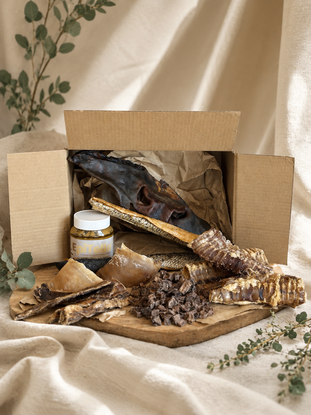 Kit Enrichissement – Occupation, Calme & Stimulation Mentale