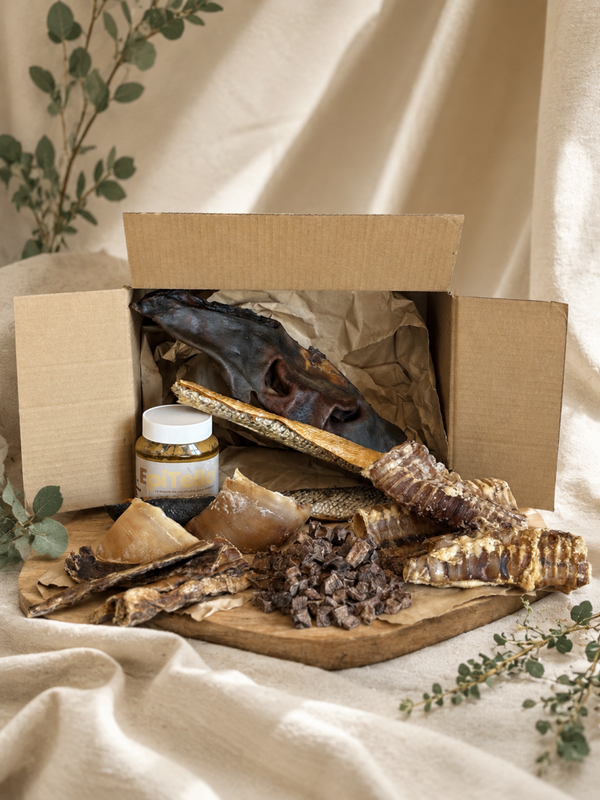 Kit Enrichissement – Occupation, Calme & Stimulation Mentale