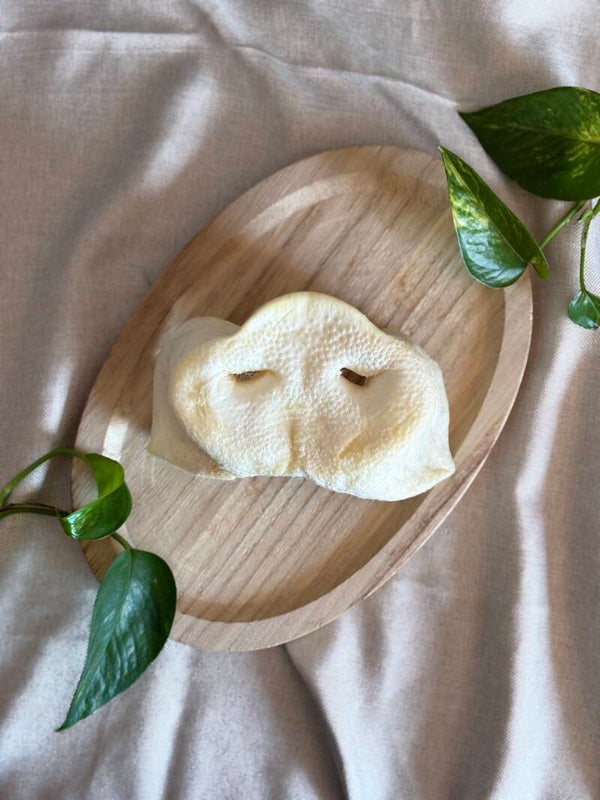 Groin de porc soufflé