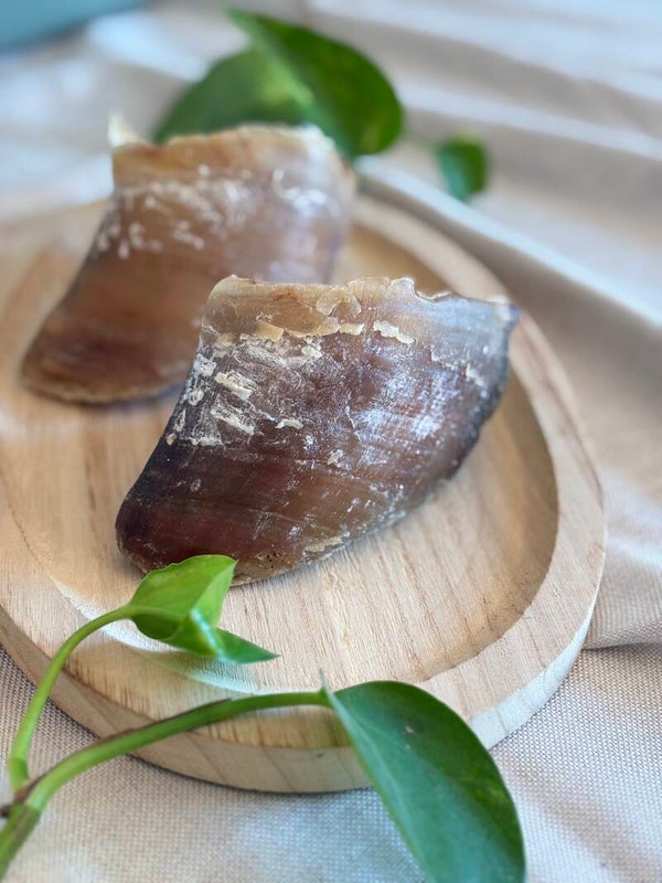 Sabot de bœuf
