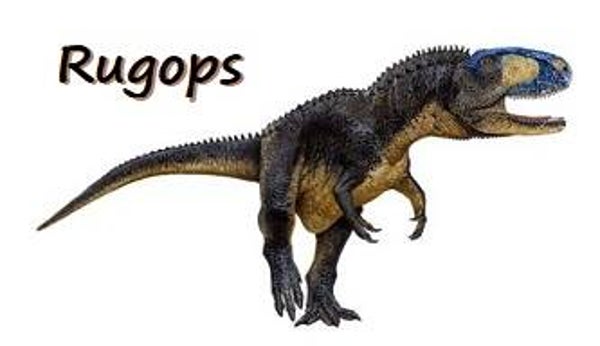 R-DINO 01