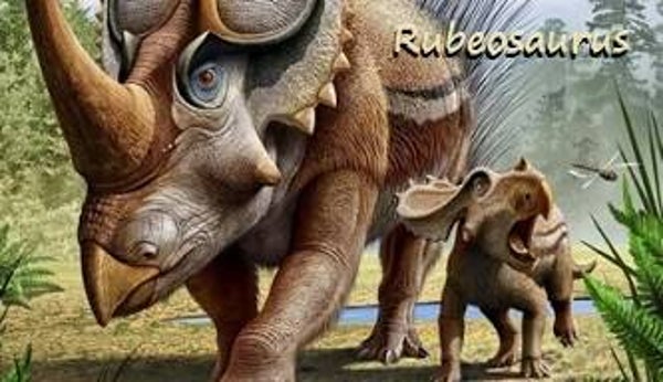 R-DINO 14