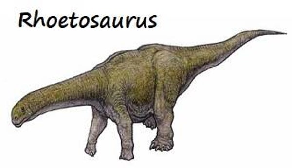 R-DINO 04