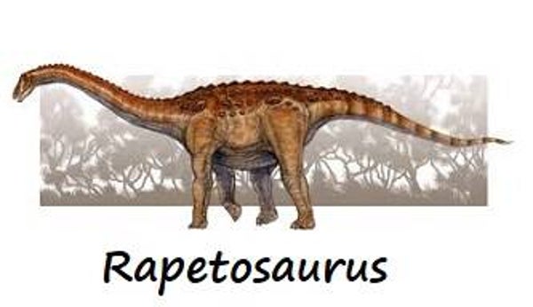 R-DINO 07