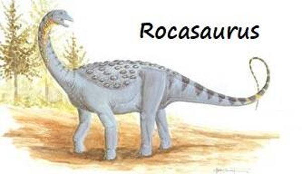R-DINO 09