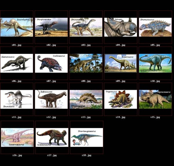 CLICK ON THE  IMAGE FOR FULL SIZE VIEW