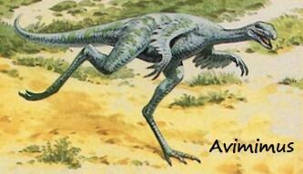 Dinosaur Magnet #100