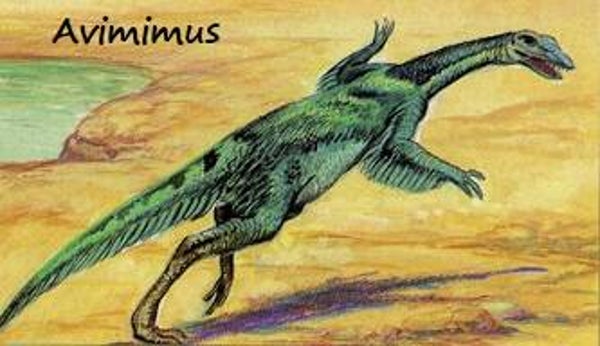 Dinosaur Magnet #101