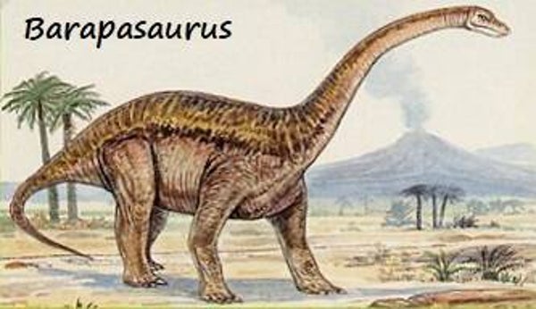Dinosaur Magnet #107