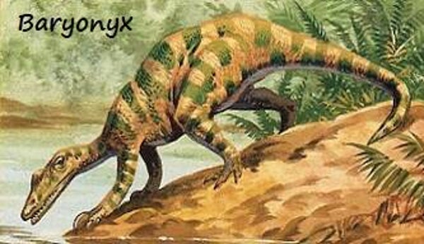 Dinosaur Magnet #111