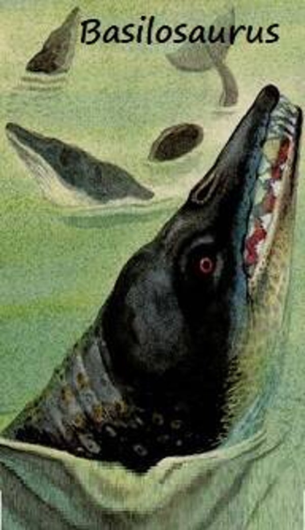 Dinosaur Magnet #113