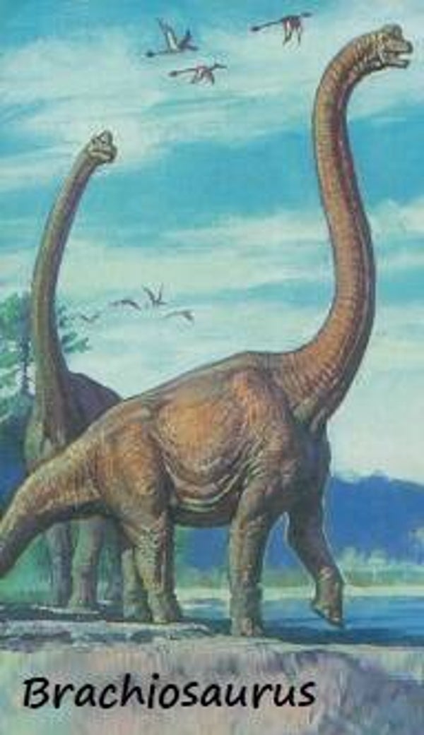 Dinosaur Magnet #115