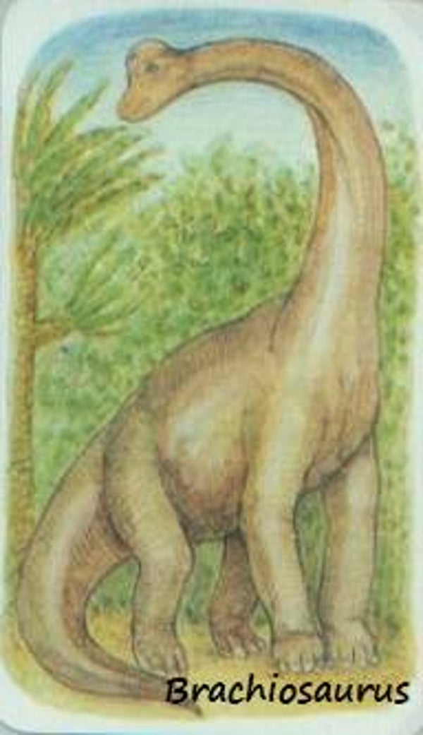 Dinosaur Magnet #116