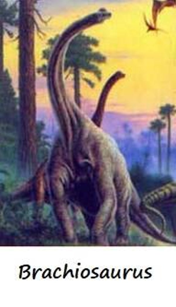 Dinosaur Magnet #117