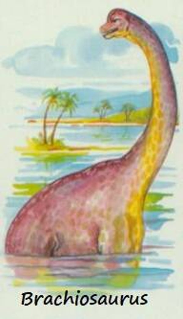 Dinosaur Magnet #119
